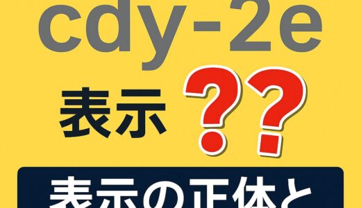 【体験談】突然インパネに「cdy-2e」!? 複雑な手順なしで整備モードに入った謎の表示の正体